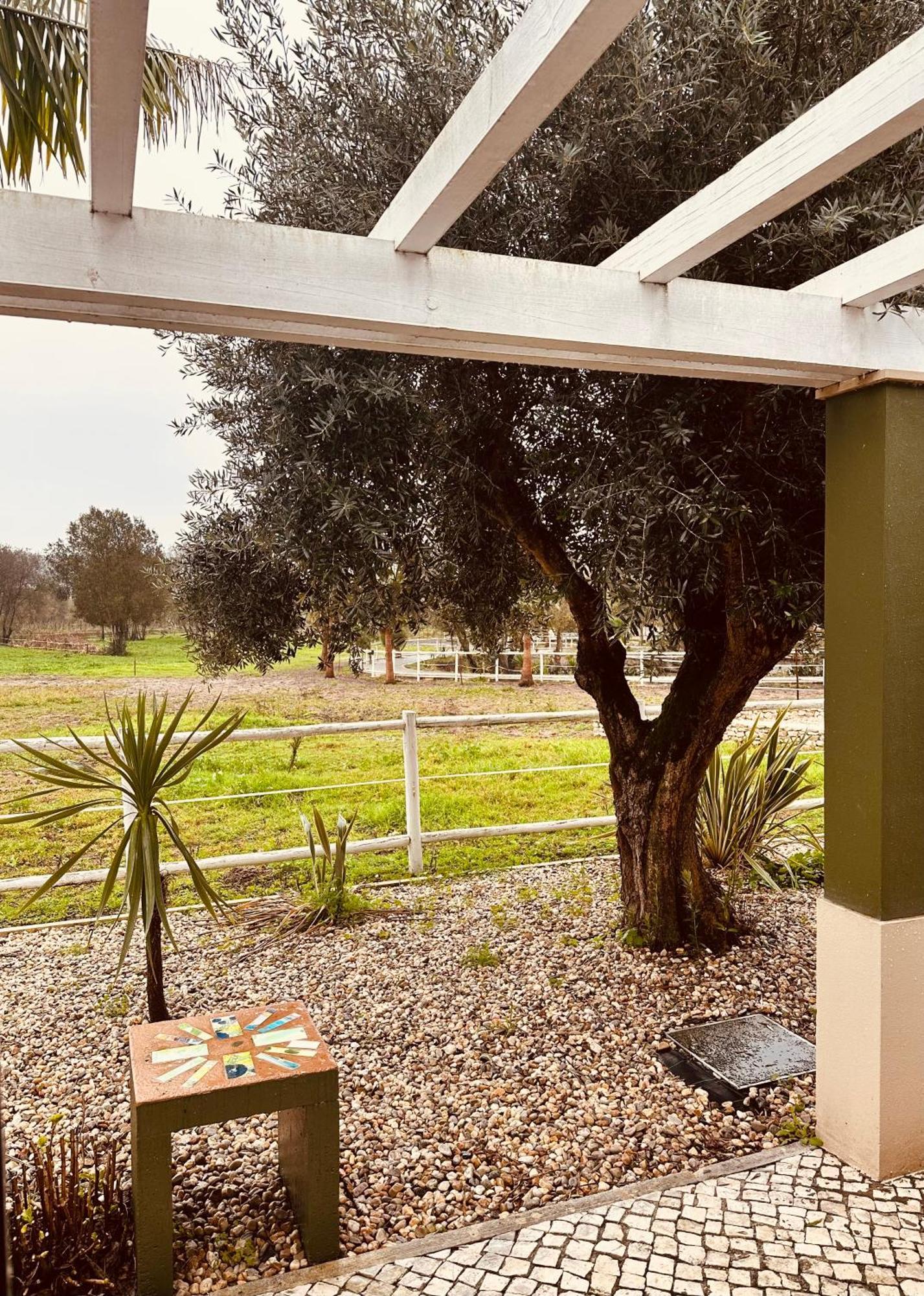 Quinta Do Pinheiro Hotel E Eventos By Grupo Quinta Dos Lagos Valado de Frades Bagian luar foto